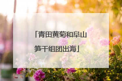 青田黄菊和阜山笋干组团出海