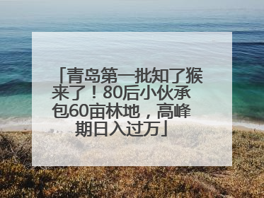 青岛第一批知了猴来了！80后小伙承包60亩林地，高峰期日入过万