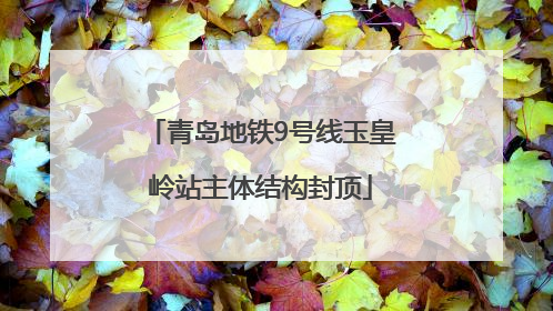 青岛地铁9号线玉皇岭站主体结构封顶