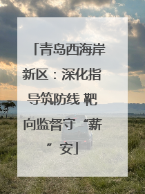 青岛西海岸新区：深化指导筑防线 靶向监督守“薪”安
