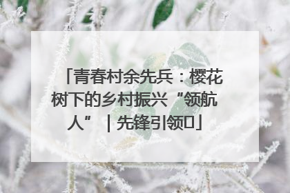 青春村余先兵：樱花树下的乡村振兴“领航人”｜先锋引领⑪