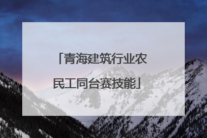 青海建筑行业农民工同台赛技能