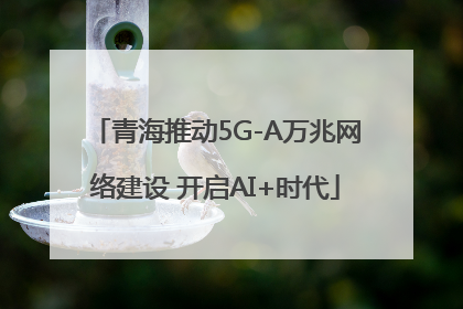 青海推动5G-A万兆网络建设 开启AI+时代