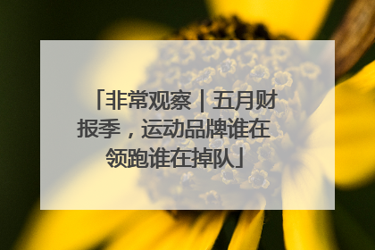 非常观察｜五月财报季，运动品牌谁在领跑谁在掉队