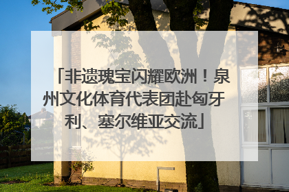 非遗瑰宝闪耀欧洲！泉州文化体育代表团赴匈牙利、塞尔维亚交流