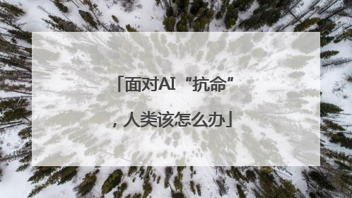面对AI“抗命”，人类该怎么办