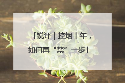 锐评｜控烟十年，如何再“禁”一步