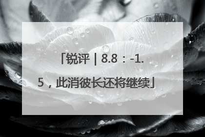 锐评｜8.8：-1.5，此消彼长还将继续