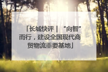 长城快评｜“向智”而行，建设全国现代商贸物流重要基地