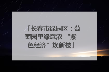 长春市绿园区：葡萄园里绿意浓 “紫色经济”焕新枝
