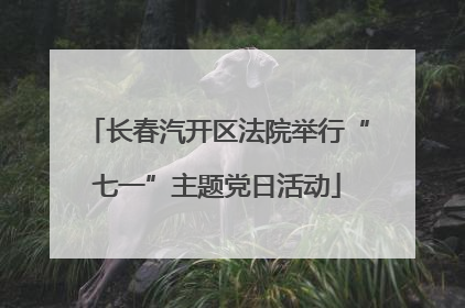长春汽开区法院举行“七一”主题党日活动