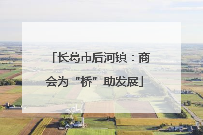 长葛市后河镇：商会为“桥”助发展