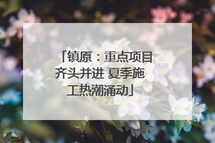 镇原：重点项目齐头并进 夏季施工热潮涌动