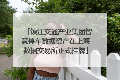 镇江交通产业集团智慧停车数据资产在上海数据交易所正式挂牌