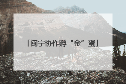 闽宁协作孵“金”蛋