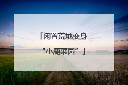 闲置荒地变身“小鹿菜园”