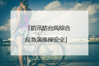 防汛防台风综合应急演练保安全