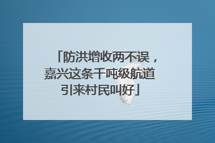 防洪增收两不误，嘉兴这条千吨级航道引来村民叫好