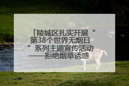 陵城区扎实开展“第38个世界无烟日”系列主题宣传活动——拒绝烟草诱惑 对第一支烟说不