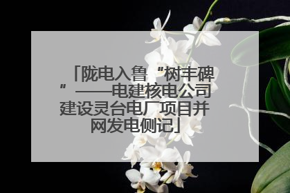 陇电入鲁“树丰碑”——电建核电公司建设灵台电厂项目并网发电侧记