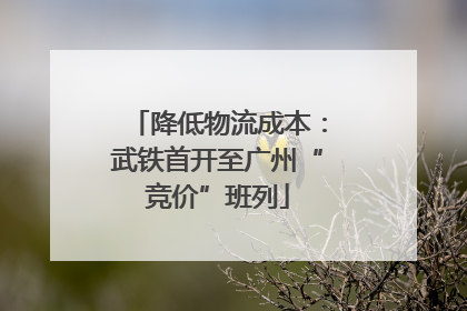 降低物流成本：武铁首开至广州“竞价”班列