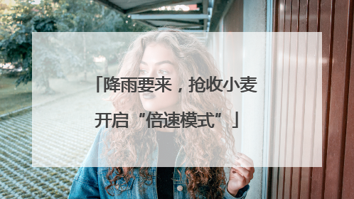 降雨要来，抢收小麦开启“倍速模式”