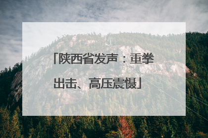 陕西省发声：重拳出击、高压震慑