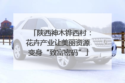 陕西神木铧西村：花卉产业让美丽资源变身“致富密码”
