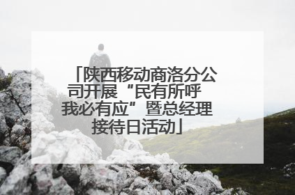 陕西移动商洛分公司开展“民有所呼 我必有应”暨总经理接待日活动