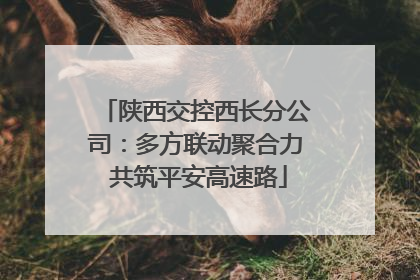 陕西交控西长分公司：多方联动聚合力 共筑平安高速路