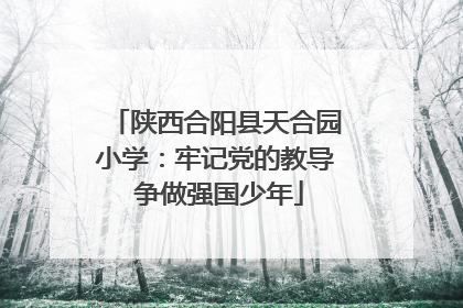 陕西合阳县天合园小学：牢记党的教导 争做强国少年