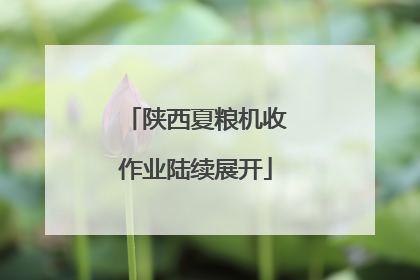 陕西夏粮机收作业陆续展开
