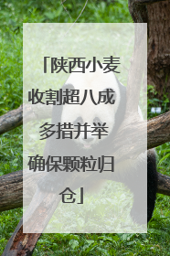 陕西小麦收割超八成 多措并举确保颗粒归仓