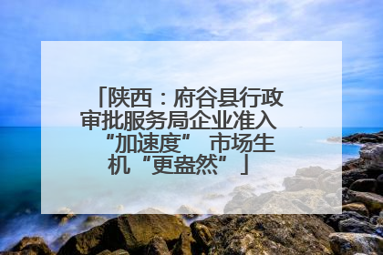 陕西：府谷县行政审批服务局企业准入“加速度” 市场生机“更盎然”