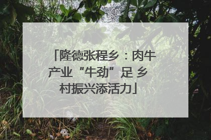 隆德张程乡：肉牛产业“牛劲”足 乡村振兴添活力