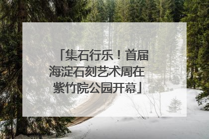 集石行乐！首届海淀石刻艺术周在紫竹院公园开幕