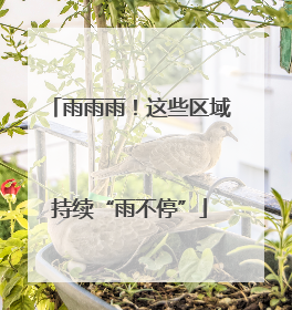 雨雨雨！这些区域持续“雨不停”