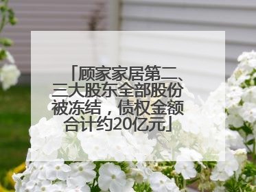 顾家家居第二、三大股东全部股份被冻结，债权金额合计约20亿元