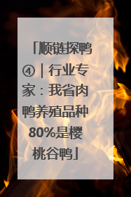 顺链探鸭④｜行业专家：我省肉鸭养殖品种80%是樱桃谷鸭