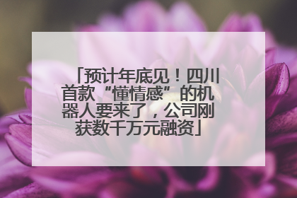 预计年底见！四川首款“懂情感”的机器人要来了，公司刚获数千万元融资