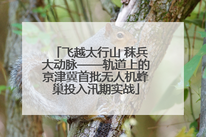 飞越太行山 秣兵大动脉——轨道上的京津冀首批无人机蜂巢投入汛期实战