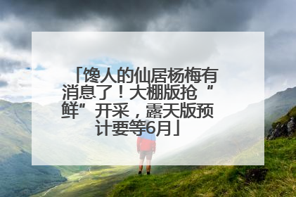 馋人的仙居杨梅有消息了！大棚版抢“鲜”开采，露天版预计要等6月