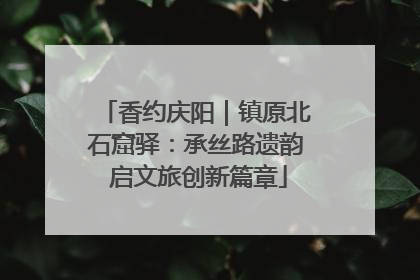 香约庆阳｜镇原北石窟驿：承丝路遗韵 启文旅创新篇章