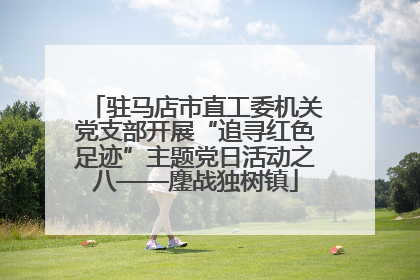 驻马店市直工委机关党支部开展“追寻红色足迹”主题党日活动之八——鏖战独树镇