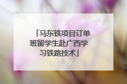 马东铁项目订单班留学生赴广西学习铁路技术