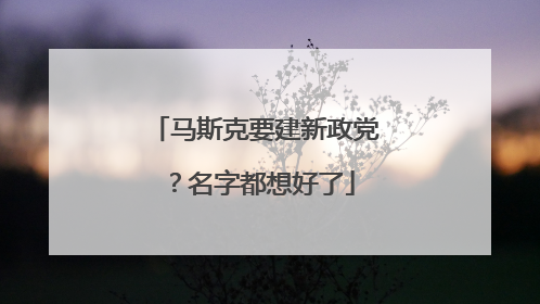 马斯克要建新政党？名字都想好了
