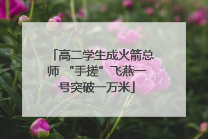 高二学生成火箭总师 “手搓”飞燕一号突破一万米