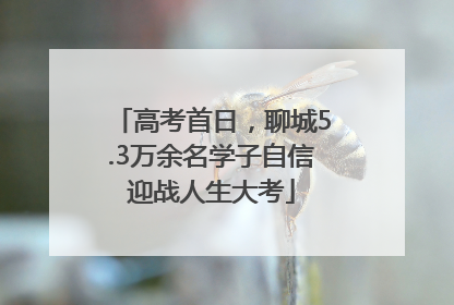 高考首日，聊城5.3万余名学子自信迎战人生大考