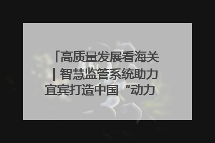 高质量发展看海关｜智慧监管系统助力宜宾打造中国“动力电池之都”
