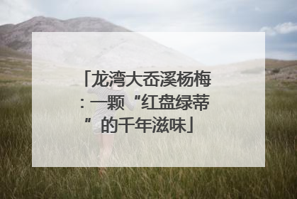 龙湾大岙溪杨梅：一颗“红盘绿蒂”的千年滋味